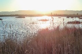 Naturpark Prat de Cabanes, Torreblanca