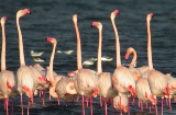 Parco Naturale delle Lagune di Mata Torrevieja