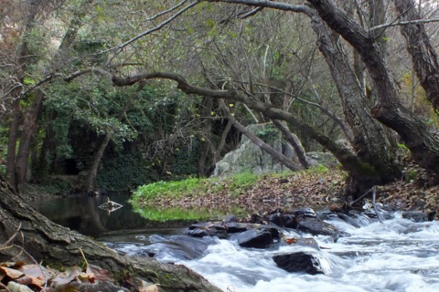 Grenzübergreifendes Biosphärenreservat am Tajo. Der Sever-Fluss