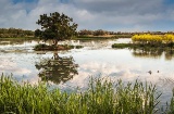 Aiguamolls de l'Empordà