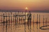 L'Albufera in Valencia