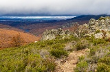 Hêtraie de La Pedrosa, parc naturel des Hoces del Río Riaza, province de Ségovie, Castille-León