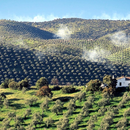 Espiel dans la sierra Morena