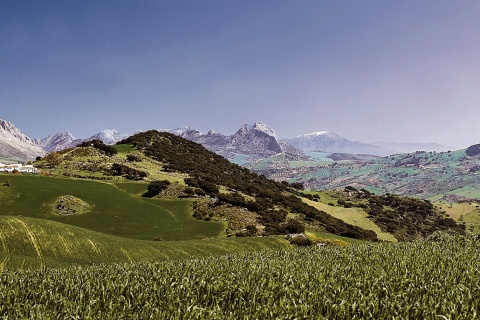 Parque Natural dos Montes de Málaga