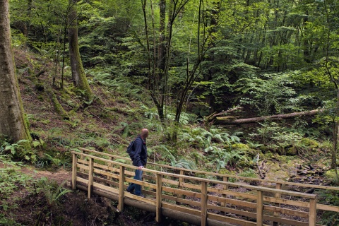 Señorío de Bértiz Natural Park