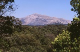 Parc naturel de Los Alcornocales, province de Cadix