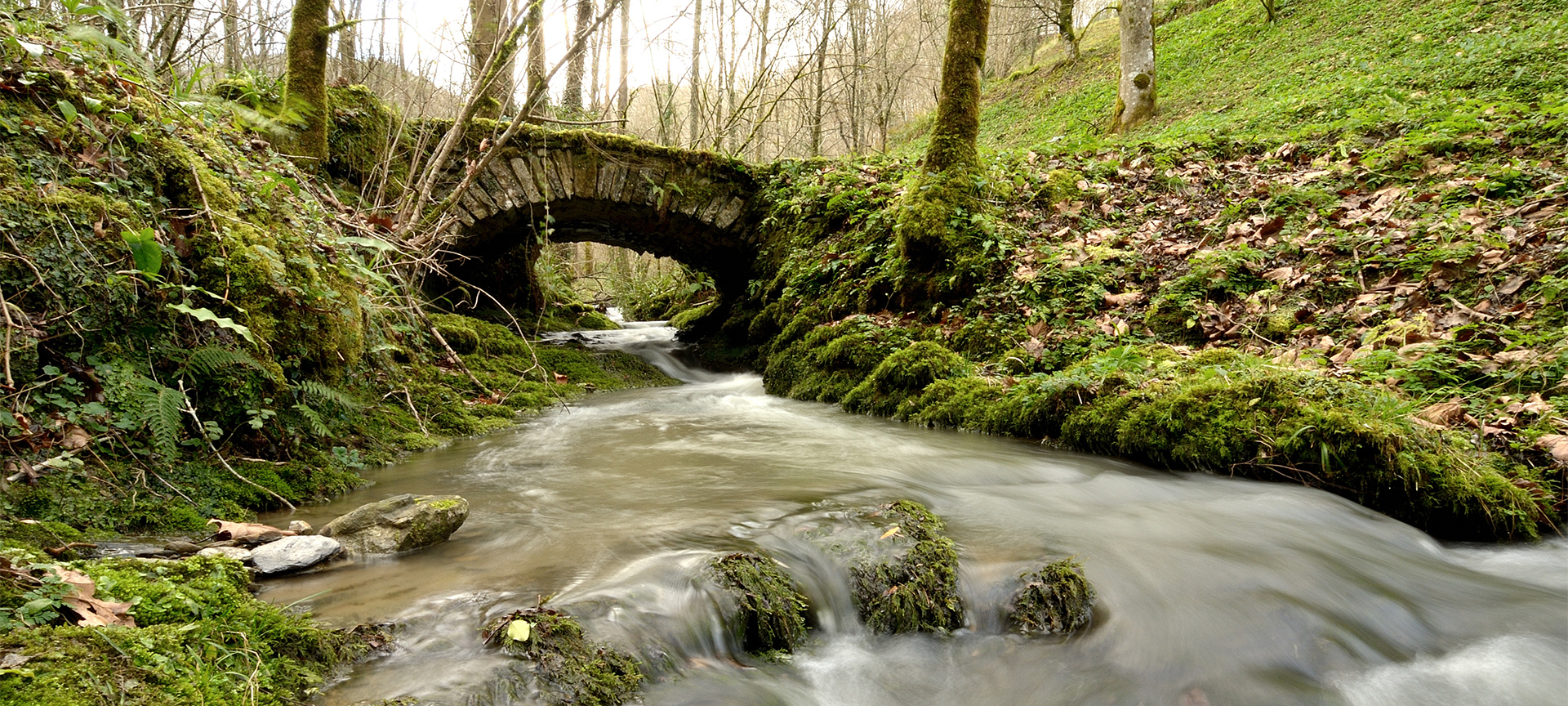 Ponte di pietra nel Parco Naturale di Pagoeta Ponte di pietra nel Parco Naturale di Pagoeta