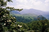 Sierra Cameros nel Parco Naturale di Sierra Cebollera