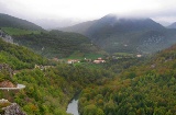 Wald von Irati. Navarra