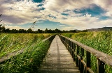 Parco Nazionale di Tablas de Daimiel