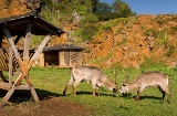 カバルセノ自然公園