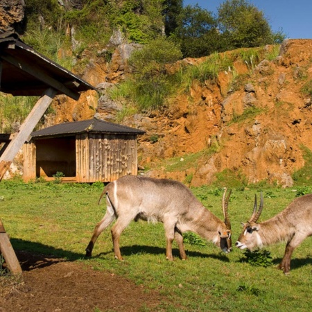 カバルセノ自然公園