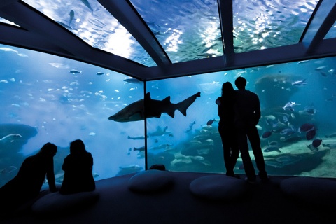 パルマ水族館