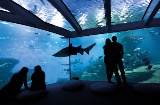 Palma Aquarium