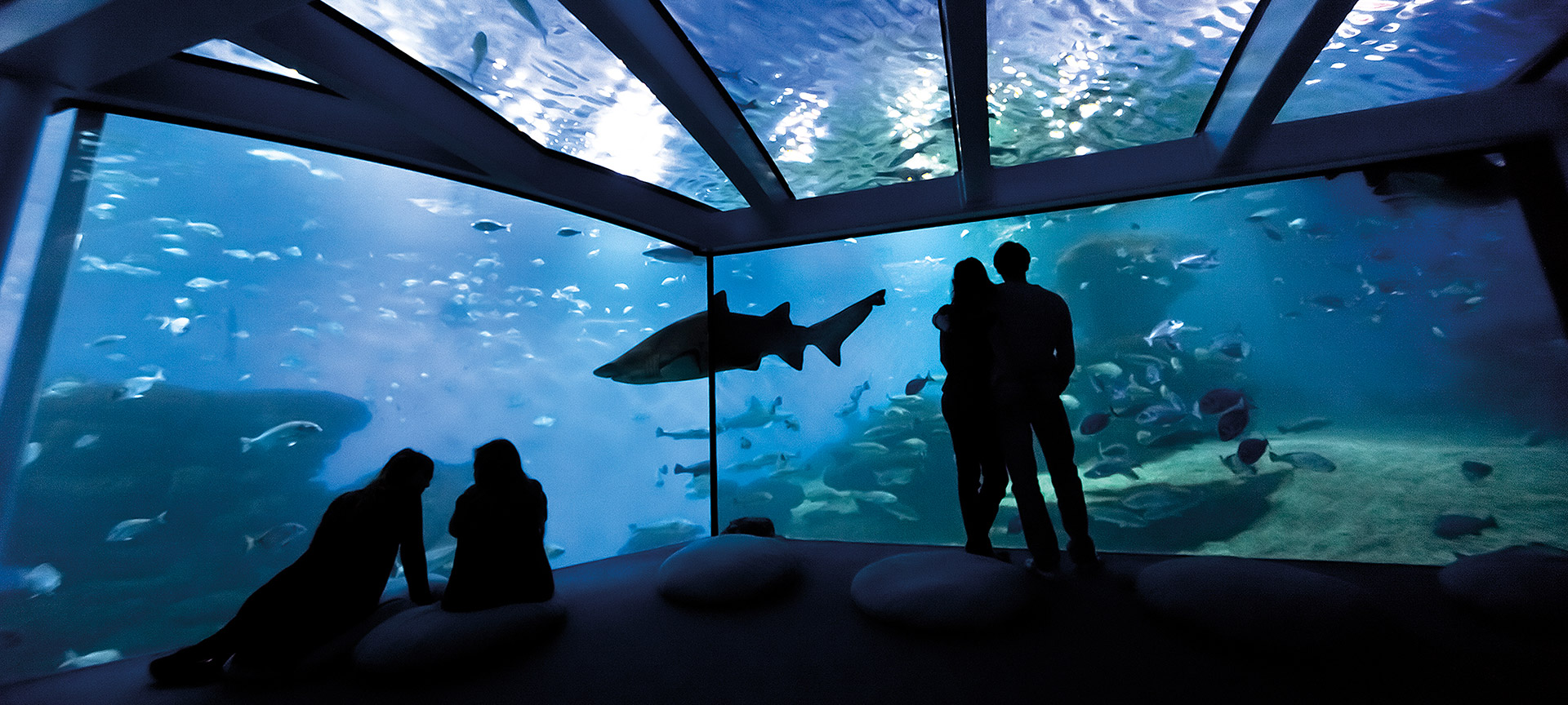 パルマ水族館 パルマ水族館