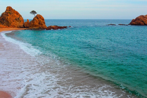 Plaża Mar Menuda w Tossa de Mar, prowincja Girona