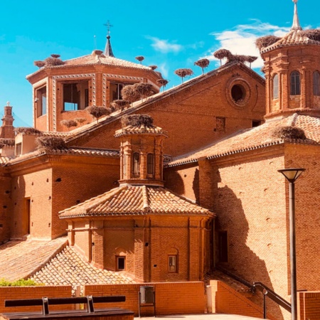 Collegiate church of San Miguel in Alfaro. The largest colony of storks in Europe