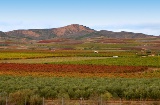 Vinhedos em Aldeanueva de Ebro – Cidade do Vinho (La Rioja)