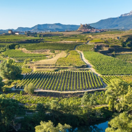 Vista de viñedos de San Vicente de la Sonsierra, La Rioja