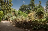 バレンシア大学植物園