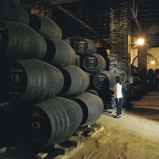 Cantina di Montilla