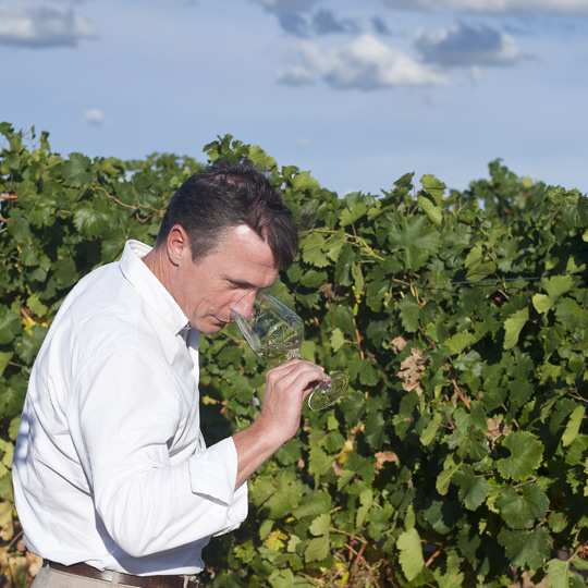 Route du vin de Rueda