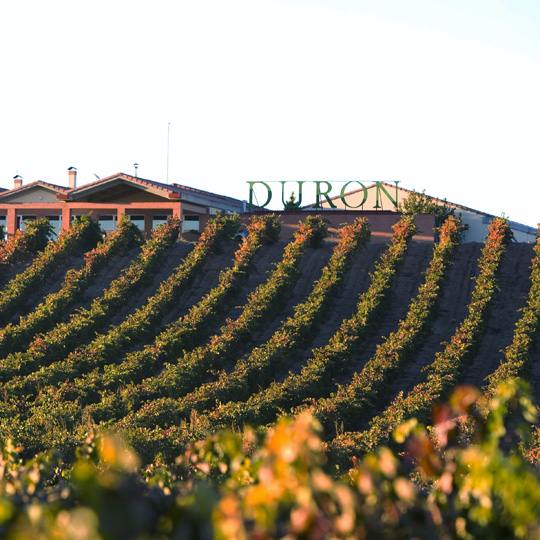 Bodegas Durón auf der Weinstraße Ribera del Duero