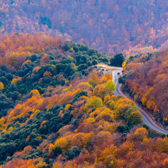 Montseny Nature Reserve between the counties of Vallès Oriental, La Selva and Osona, Catalonia.