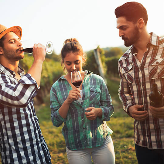 Wine tasting among vineyards