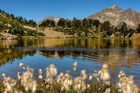 Parque Nacional de Aigüestortes i estany de Sant Maurici