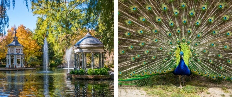 Jardines del Principe en Aranjuez, Madrid