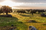 Sunset over the plains of Extremadura