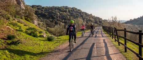 Persone che praticano ciclotourismo sulla Via Verde dell’Olio a Jaén, Andalusia