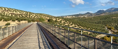 Voie verte de l’huile, à Torredelcampo