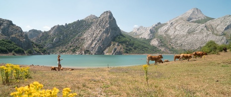  Lacs de Covadonga dans le parc national des Pics d’Europe, Asturies