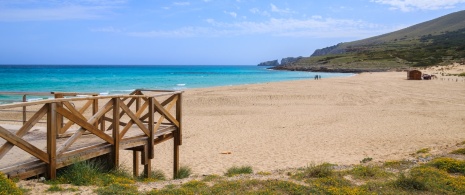 Blick auf Cala Mesquida auf Mallorca, Balearen