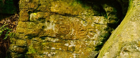 Incisione rupestre nel Parco culturale La Zarza e La Zarcita di Garafía, La Palma, Isole Canarie