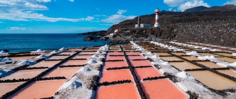 Particolare delle saline di Fuencaliente a La Palma, isole Canarie