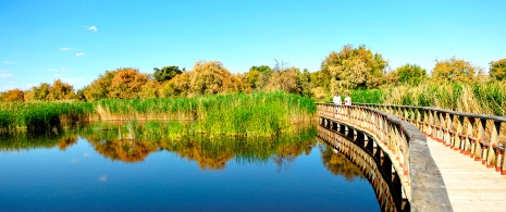 Las Tablas de Daimiel National Park in Castilla La Mancha