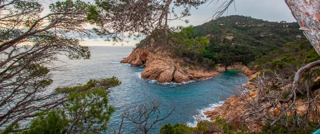 Cala Pola a Tossa del Mar, Girona