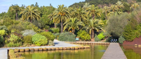 Detalhe do Jardim Botânico de Barcelona, Catalunha