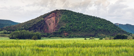 Vulcano Croscat nel Parco Naturale della Zona Vulcanica della Garrotxa a Girona, Catalogna