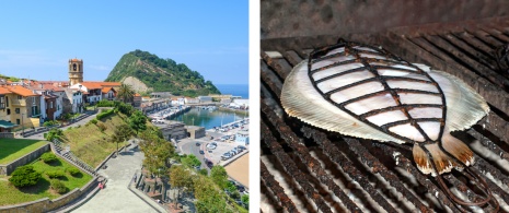 Port of Getaria in Gipuzkoa province / Roast turbot bought in Getaria market