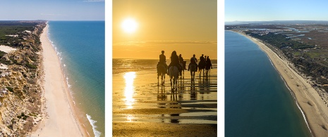 À gauche : Plage de Mazagón / Centre : Chevaux au coucher du soleil sur la plage de Mazagón / Droite : Plage d