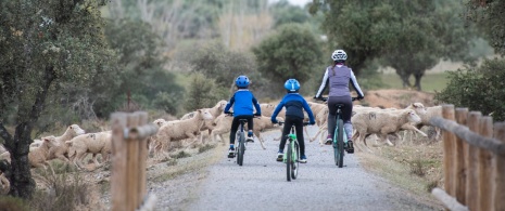 Mother and children cycling on the Mina La Jayona greenway in Badajoz
