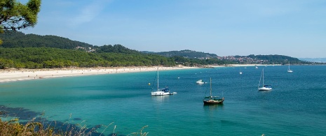 Barche a vela ancorate nelle Rías Baixas a Pontevedra, Galizia