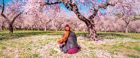 Mujer observando los almendros en el Parque de la Quinta de los Molinos de Madrid