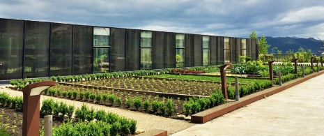 Détail du potager du restaurant Azurmendi à Larrabetzu, en Biscaye, Pays Basque