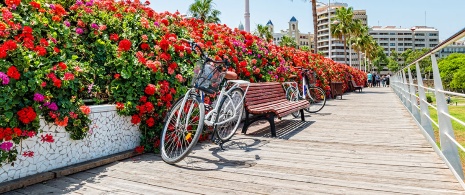 Bicicleta en un puente de los jardines del Turia en Valencia, Comunidad Valenciana