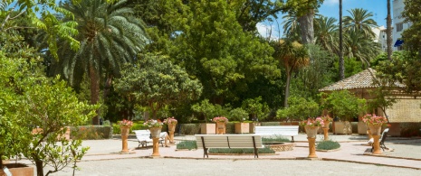 Ansicht des Botanischen Gartens von Valencia